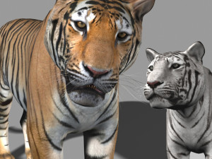 the ultimate cgi tiger Modelo 3D