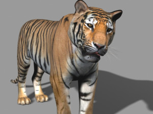 the ultimate cgi tiger Modelo 3D
