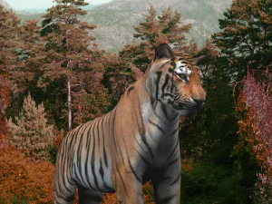 the ultimate cgi tiger 3D Model