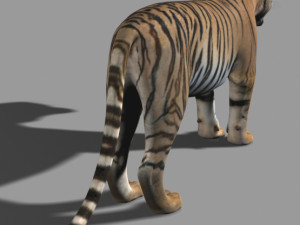 the ultimate cgi tiger Modelo 3D
