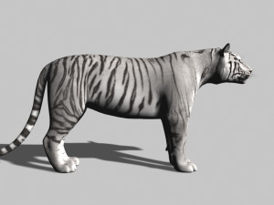 the ultimate cgi tiger Modelo 3D
