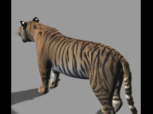 the ultimate cgi tiger 3D Model