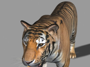 the ultimate cgi tiger Modelo 3D