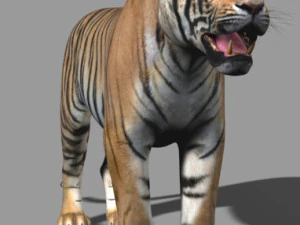 the ultimate cgi tiger 3D Model