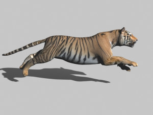 the ultimate cgi tiger Modelo 3D