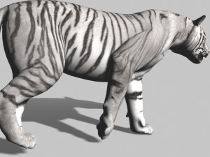 the ultimate cgi tiger Modelo 3D