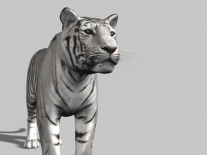 the ultimate cgi tiger 3D Model