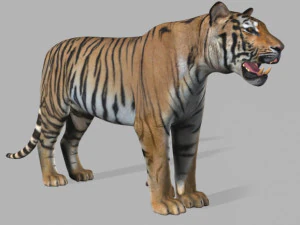 the ultimate cgi tiger 3D Model