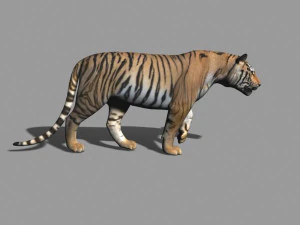 the ultimate cgi tiger 3D Model