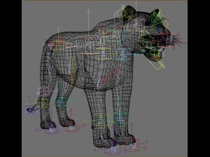 the ultimate cgi tiger 3D Model