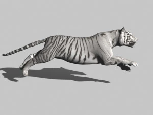 professional cgi tiger fur 3D Model