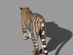 professional cgi tiger fur 3D Model