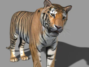 professional cgi tiger fur 3D Model