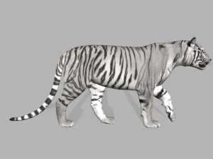 professional cgi tiger fur 3D Model
