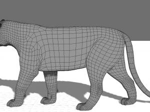 professional cgi tiger fur 3D Model