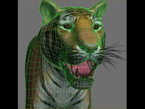 professional cgi tiger fur 3D Model