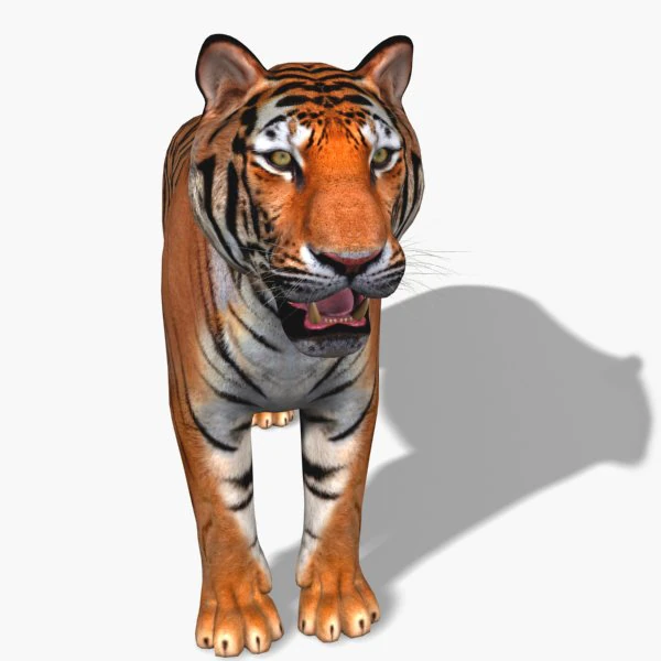 awesome tiger 3D Model .c4d .max .obj .3ds .fbx .stl .blend 