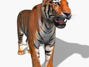 awesome tiger 3D 模型