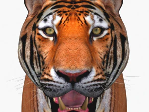 awesome tiger 3D Model