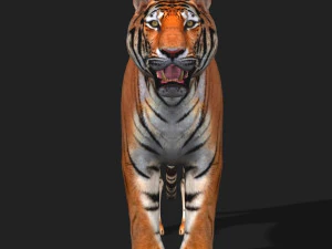 awesome tiger 3D Model