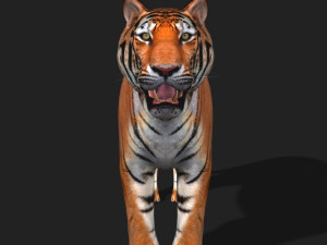awesome tiger 3D 模型