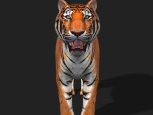 awesome tiger 3D Model