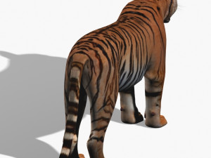 awesome tiger 3D 模型