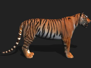 awesome tiger 3D Model