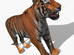 awesome tiger 3D 模型
