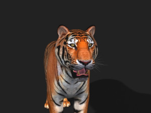 awesome tiger 3D 模型