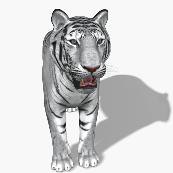 fantastica tigre bianca Modello 3D .c4d .max .obj .3ds .fbx .stl .blend 
