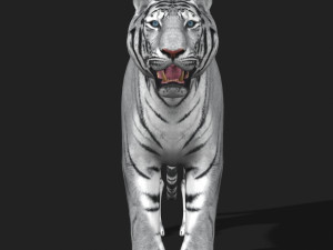 awesome white tiger Modello 3D