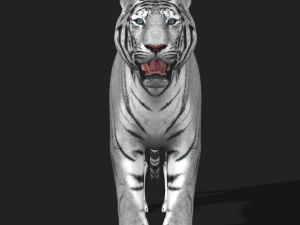 fantastica tigre bianca Modello 3D