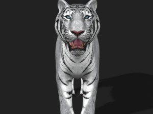 fantastica tigre bianca Modello 3D
