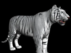 fantastica tigre bianca Modello 3D