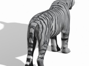 awesome white tiger Modello 3D