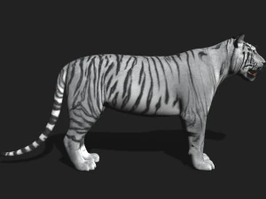 fantastica tigre bianca Modello 3D