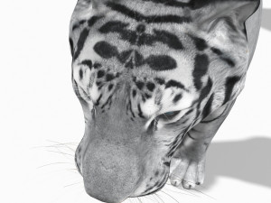 awesome white tiger Modello 3D