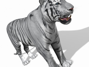 awesome white tiger Modello 3D