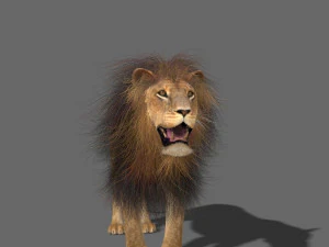 benzersiz kedi paketi 3D Model