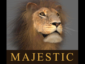 unique feline pack Modelo 3D