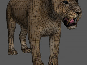 unique feline pack Modelo 3D