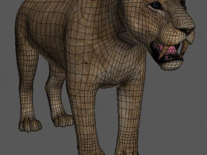 benzersiz kedi paketi 3D Model