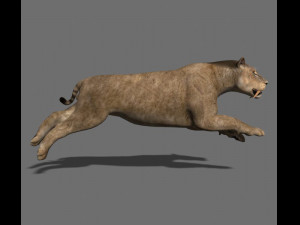 unique feline pack Modelo 3D
