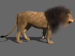 unique feline pack Modelo 3D