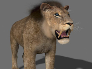 unique feline pack Modelo 3D