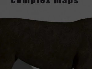 benzersiz kedi paketi 3D Model