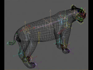 benzersiz kedi paketi 3D Model