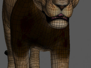 unique feline pack Modelo 3D