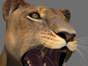 unique feline pack Modelo 3D